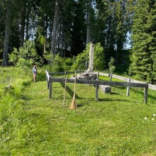 IMG-20220617-WA0003
