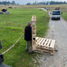 IMG-20250801-WA0008